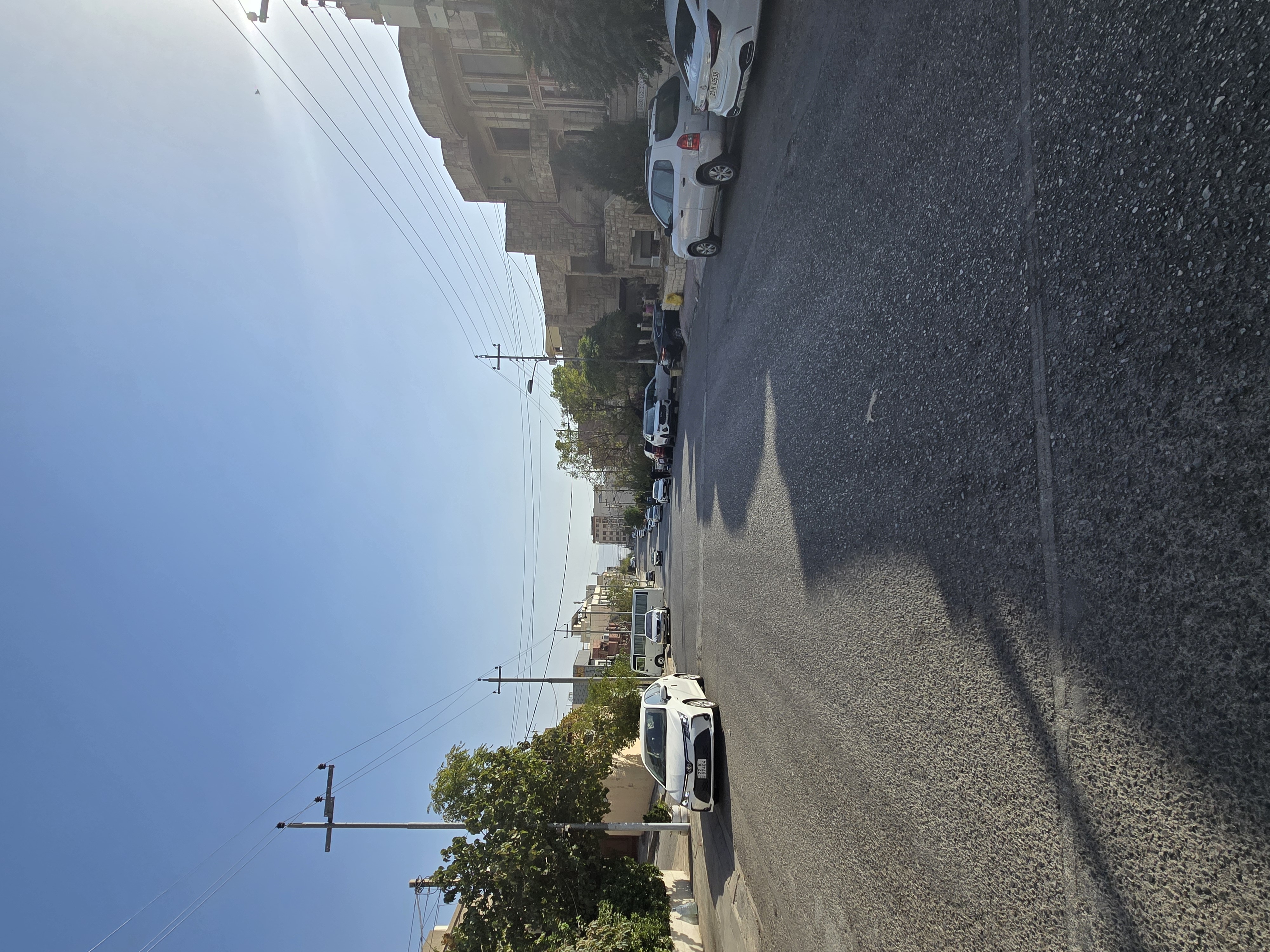 تووی مەلیک