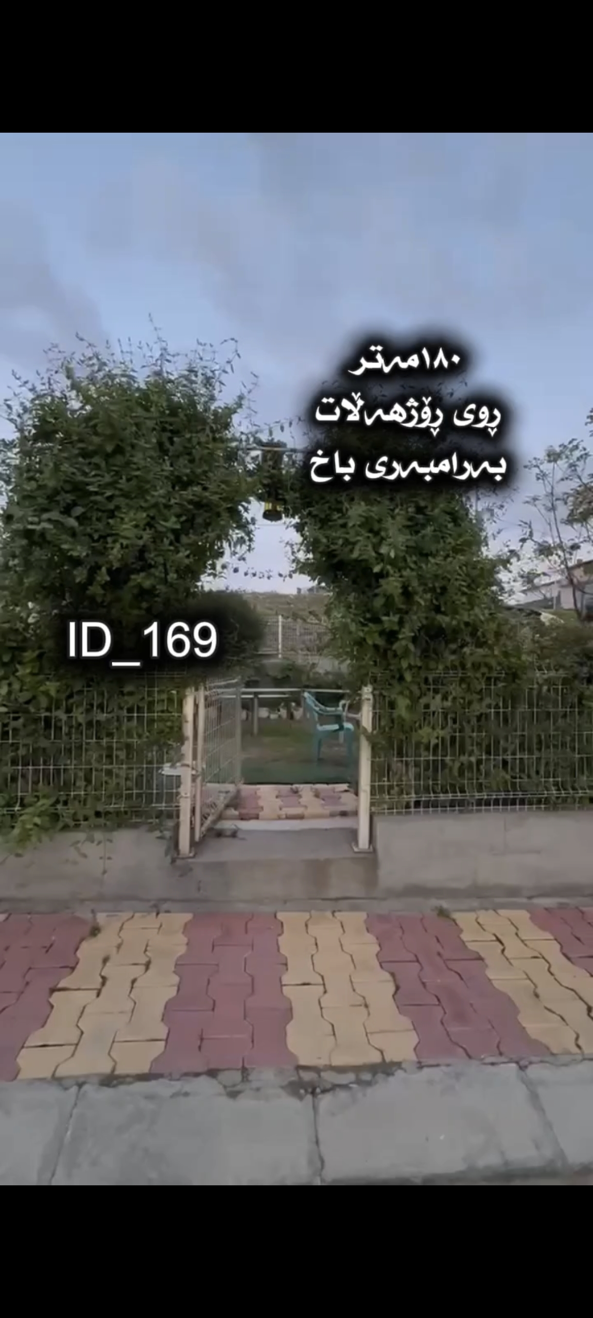 سلێمانی