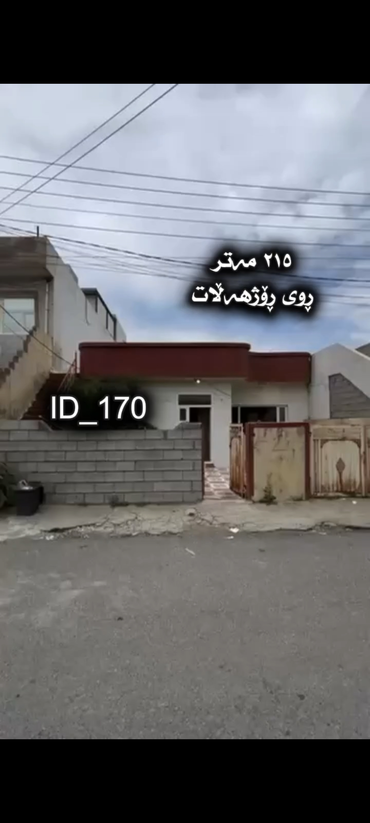 سلێمانی