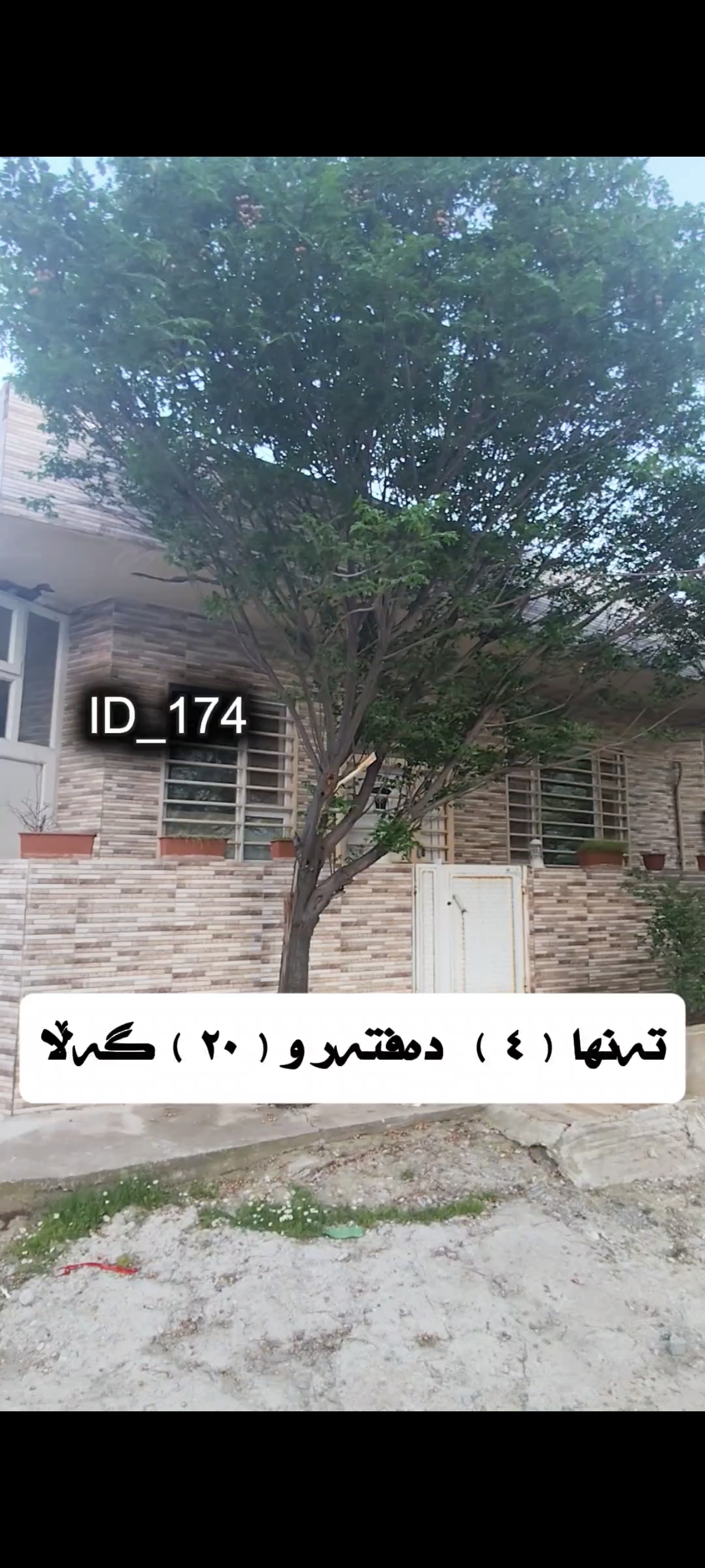 سلێمانی