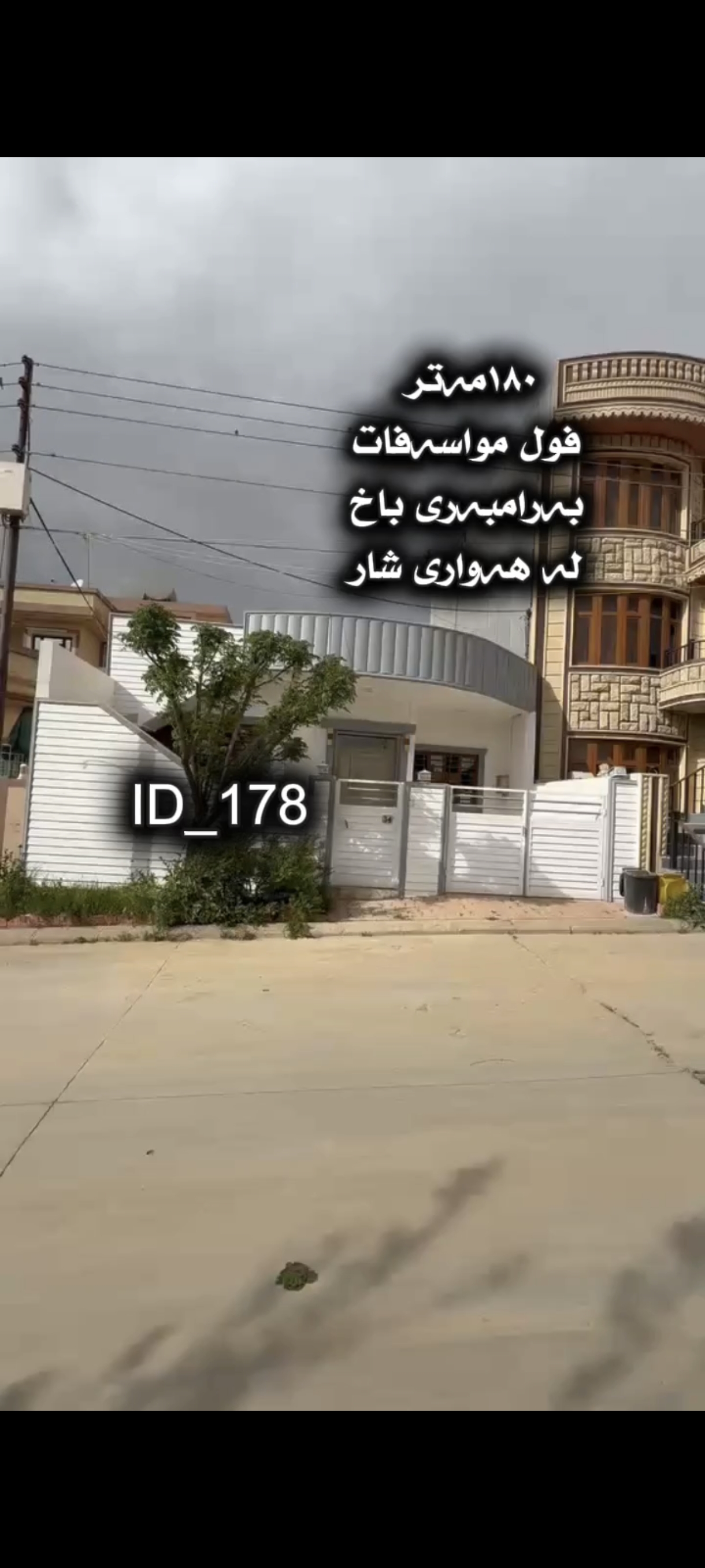 سلێمانی