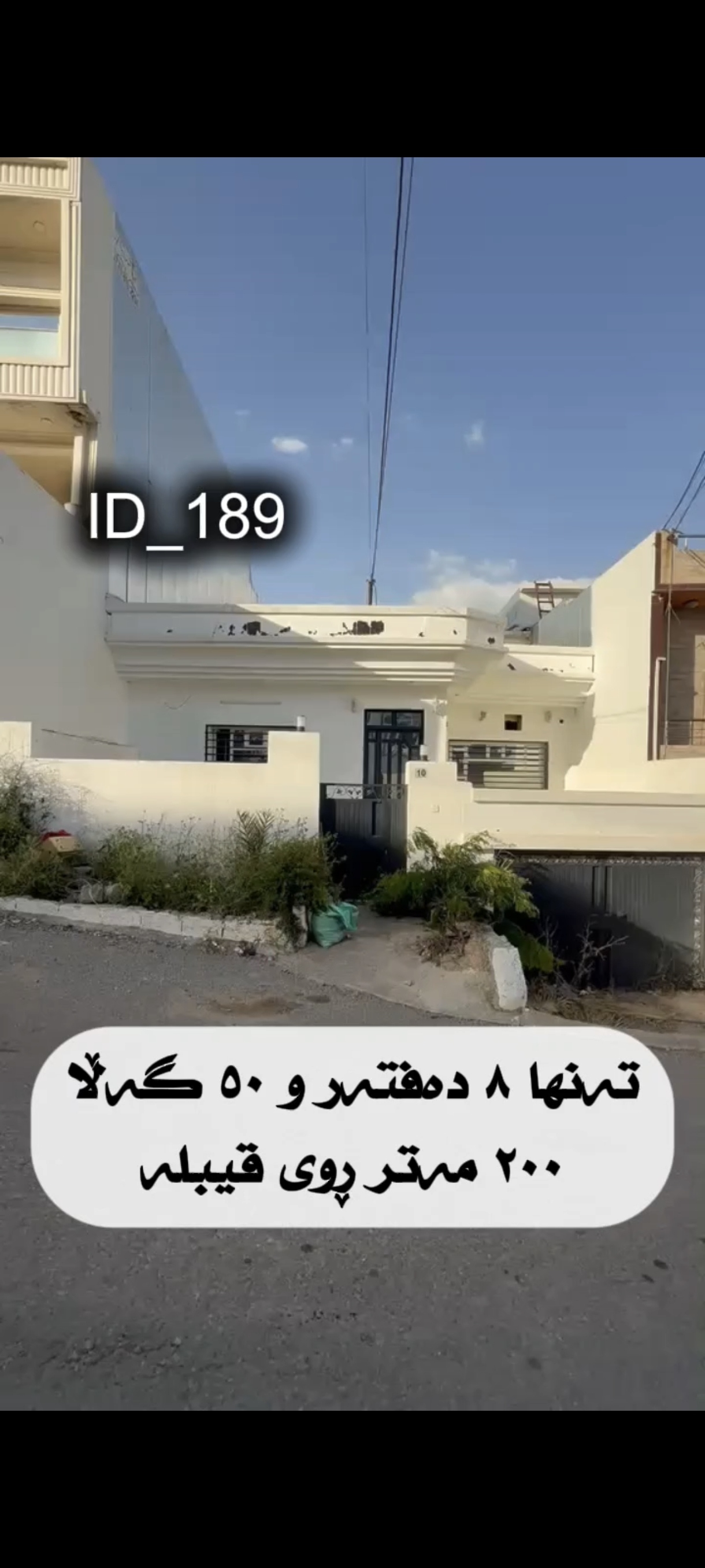 سلێمانی