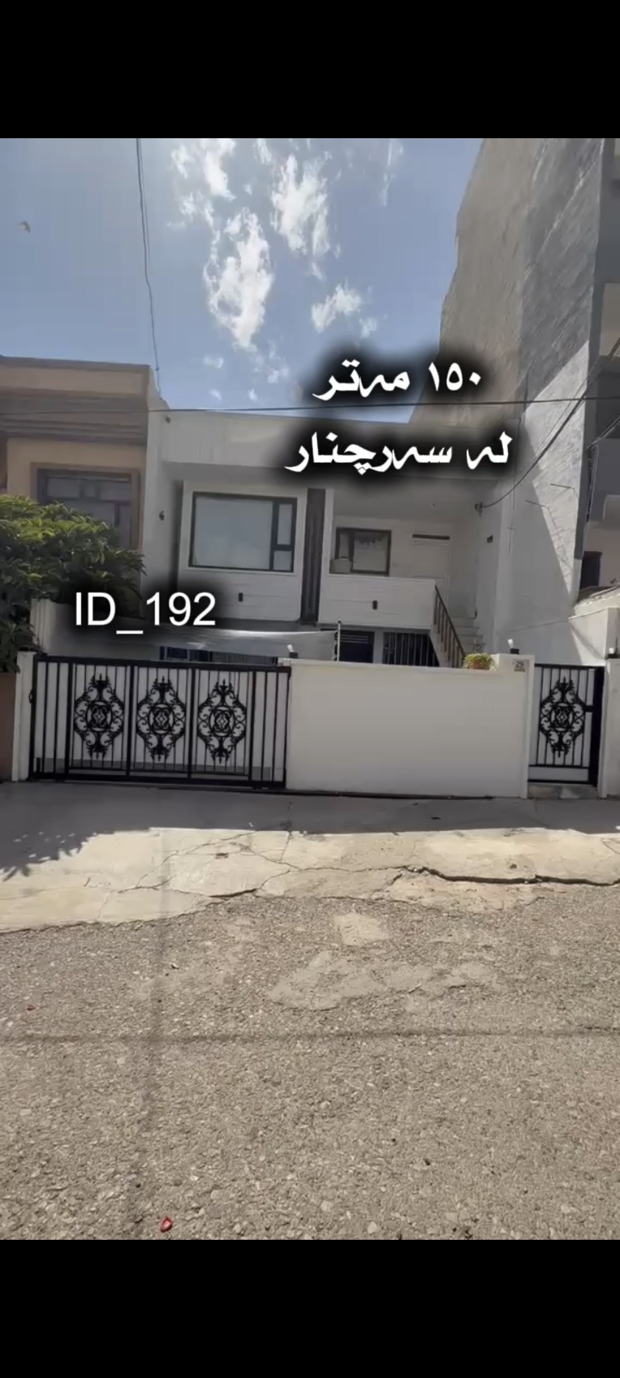 سلیمانی