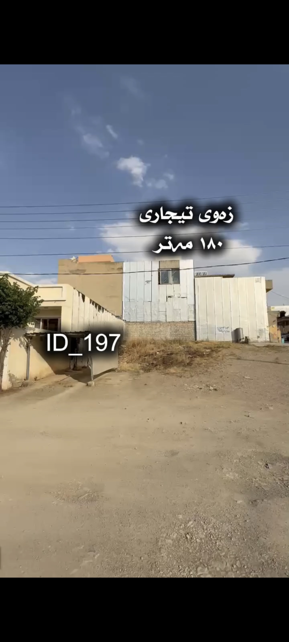 سلیمانی