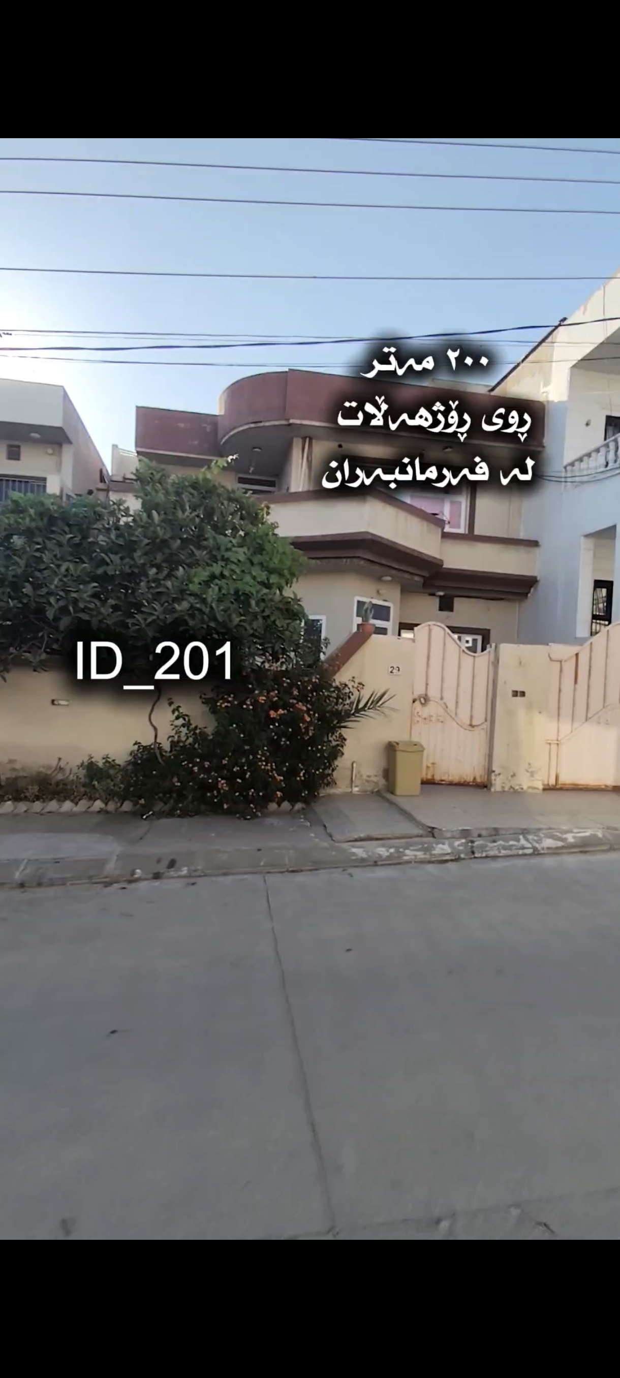 سلیمانی